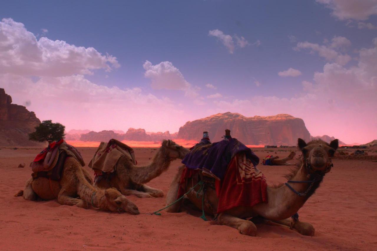 Mohammed Mutlak Camp Hotel Wadi Rum Bagian luar foto